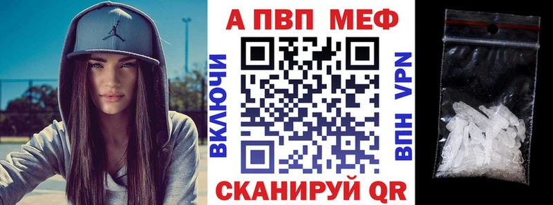 Бошки Шишки Новодвинск