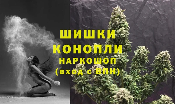 гидропоника Горно-Алтайск
