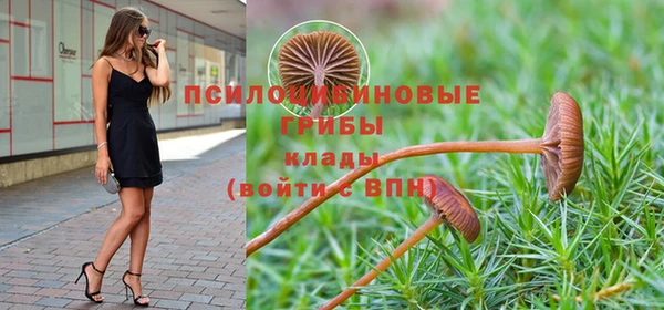 гидропоника Горно-Алтайск