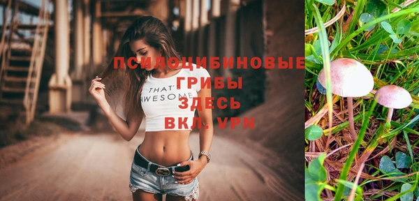 твердый Горняк