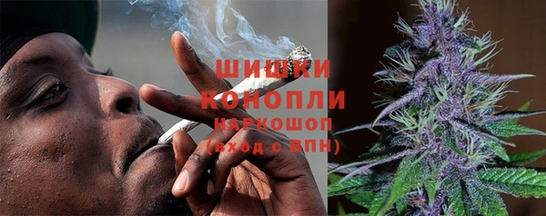 гидропоника Горно-Алтайск