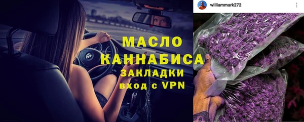 твердый Горняк