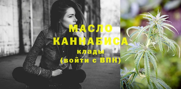 твердый Горняк