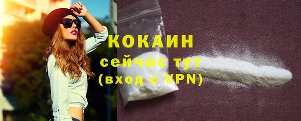 твердый Горняк