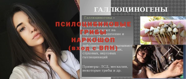 твердый Горняк