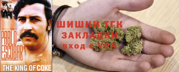 mdpv Горнозаводск